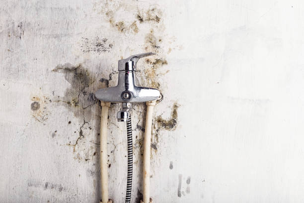 Best Affordable Mold Removal  in Morgans Point Resort, TX