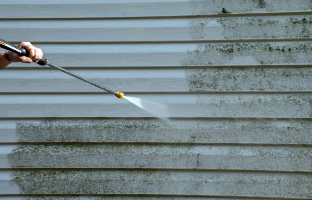 Mold Removal Process in Morgans Point Resort, TX