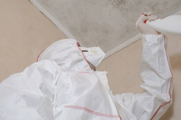 Best Affordable Mold Removal  in Morgans Point Resort, TX